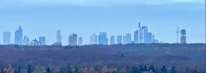 Die Frankfurter Geschäftswelt