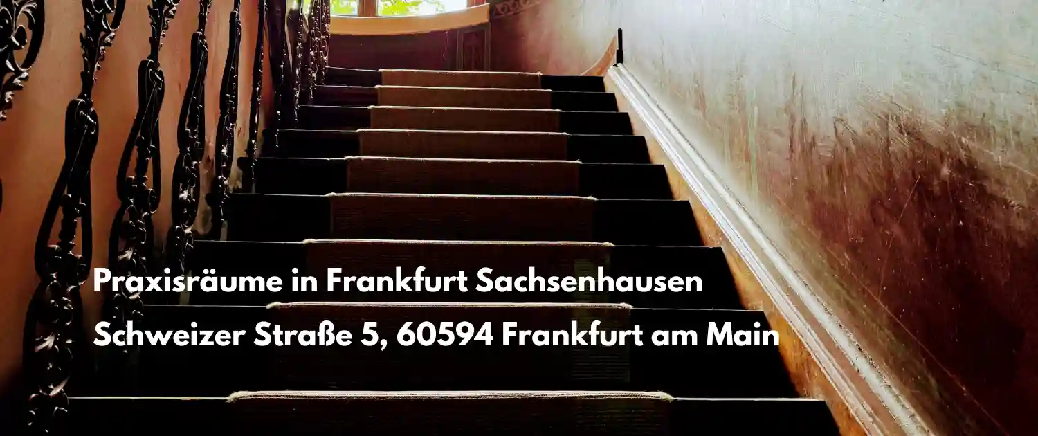 johannes-faupel-schweizer-strasse-5-frankfurt-am-main